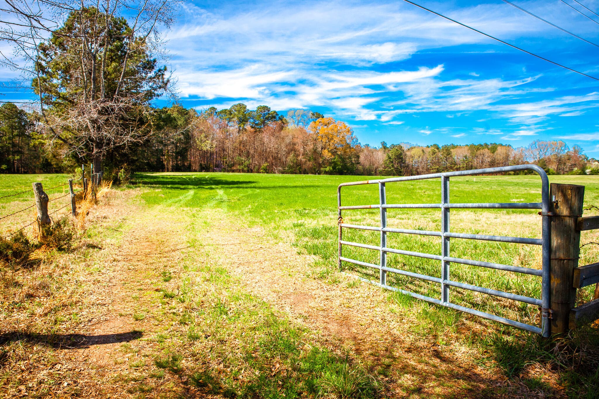 Undeveloped at 3520 3 Mistletoe Rd Road, Appling, GA 30802, photo 5 of 12