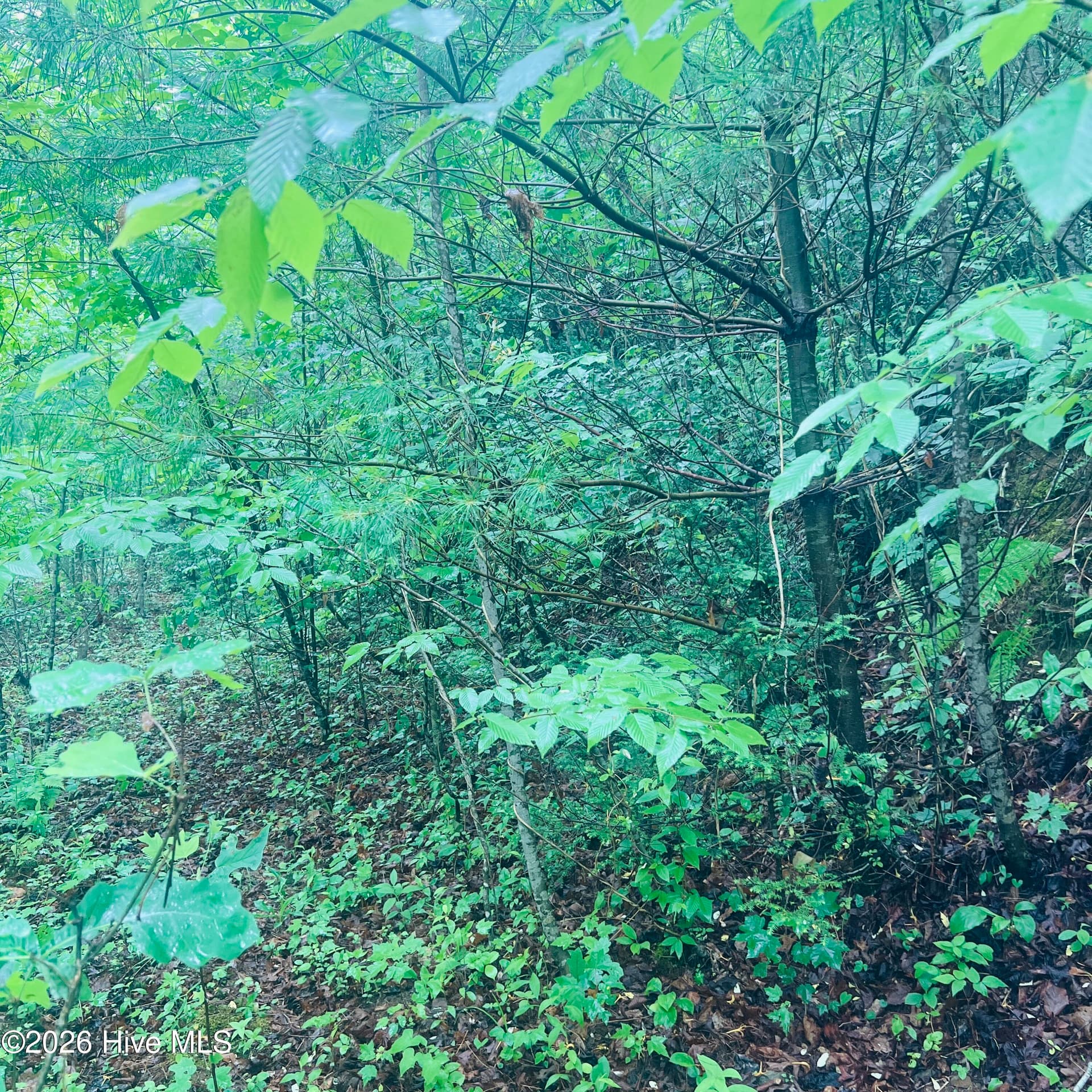 Lot 20 20 Owl Bluff, Murphy, NC 28906