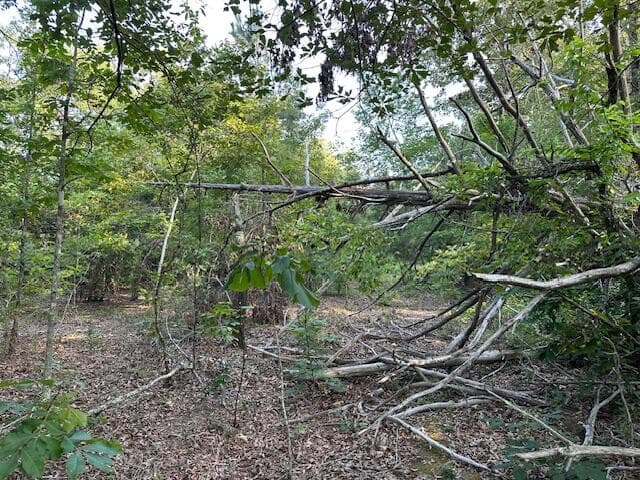 Undeveloped at 2576 Jessie James Pond Road, Wrens, GA 30833, photo 30 of 56