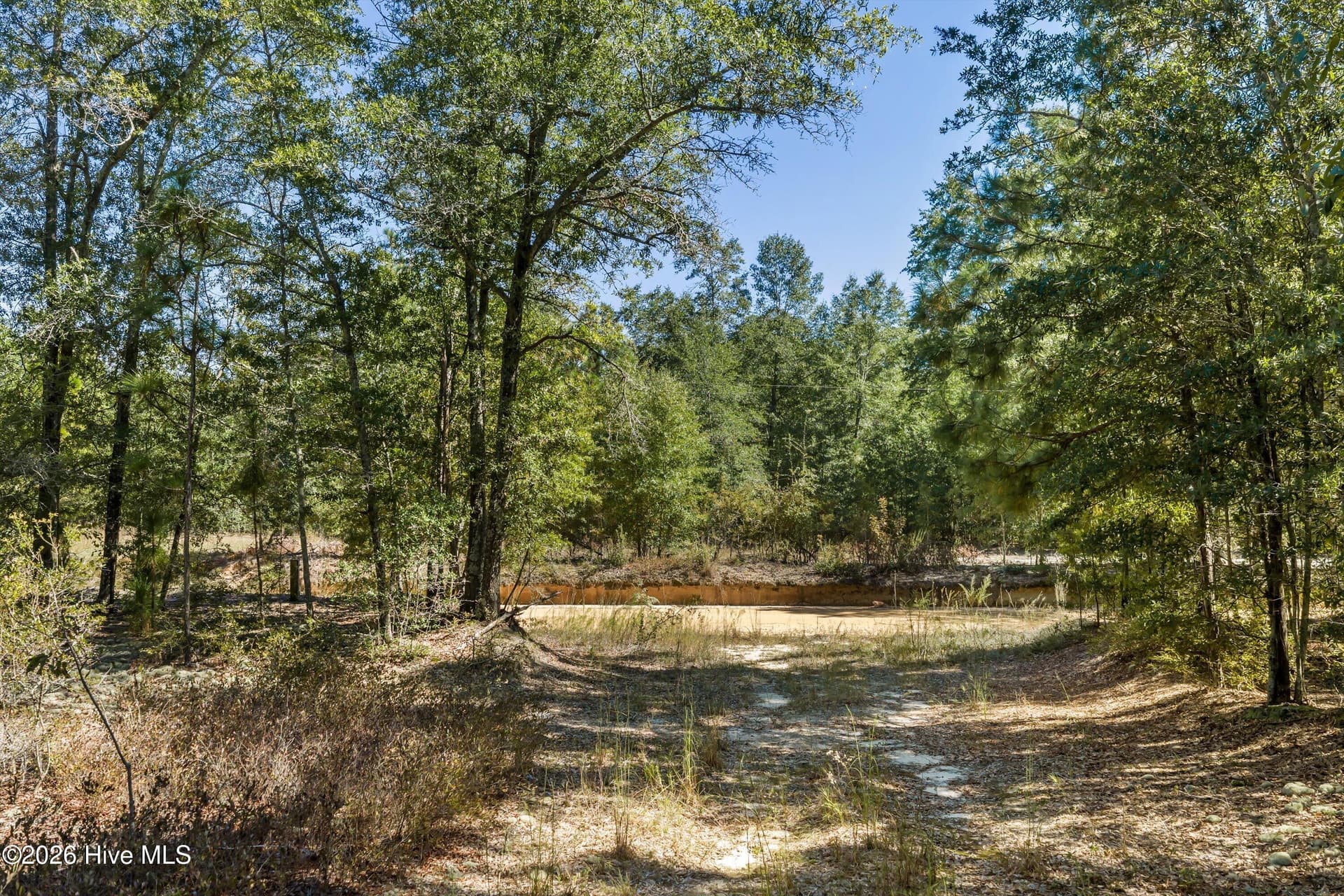 Residential Lot at 000.0 Mary Rawls Road, Wagener, SC 29164, photo 21 of 21