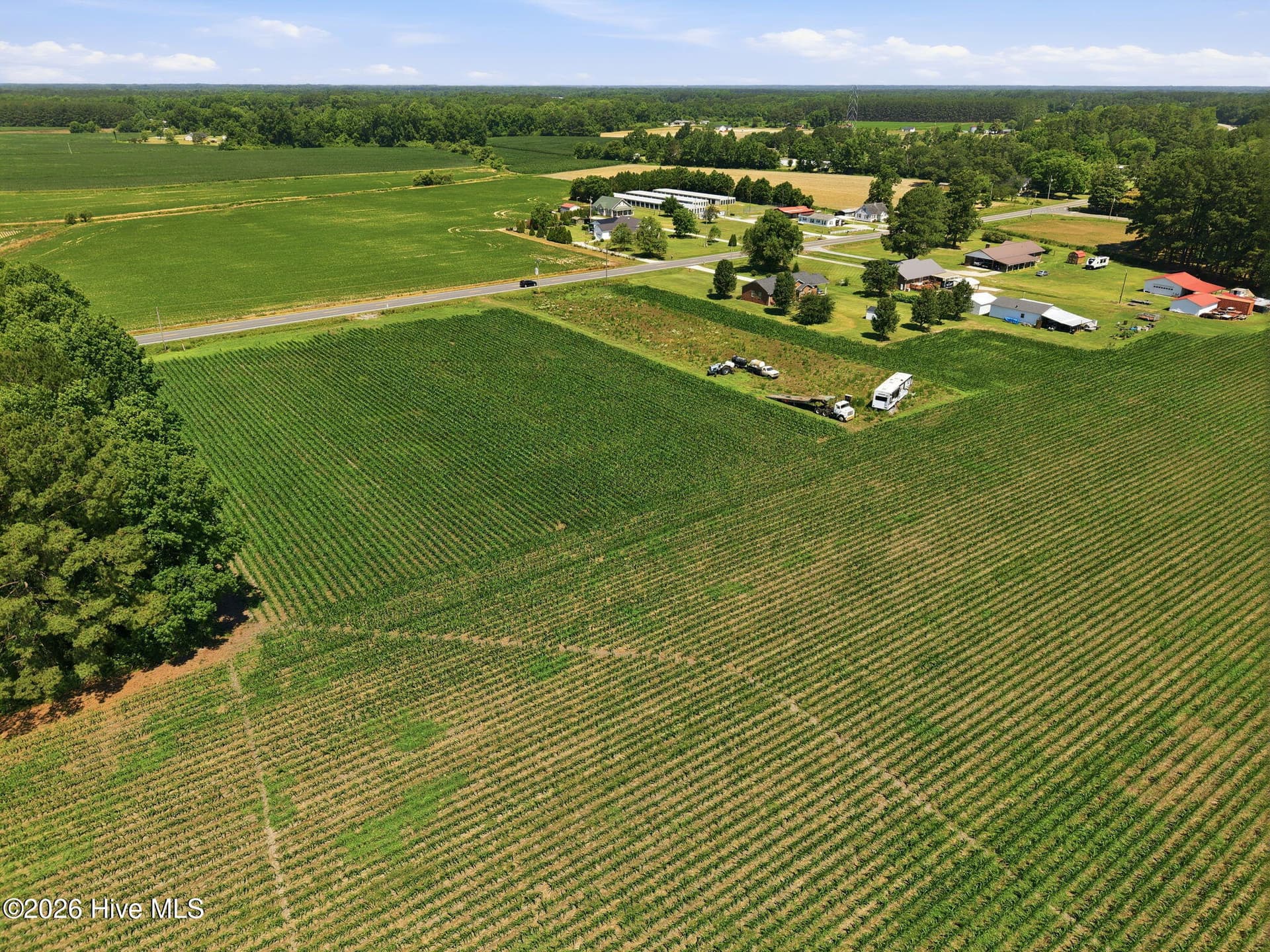 Agriculture at 1795 1825 Highway 58 S, Kinston, NC 28501, photo 15 of 17