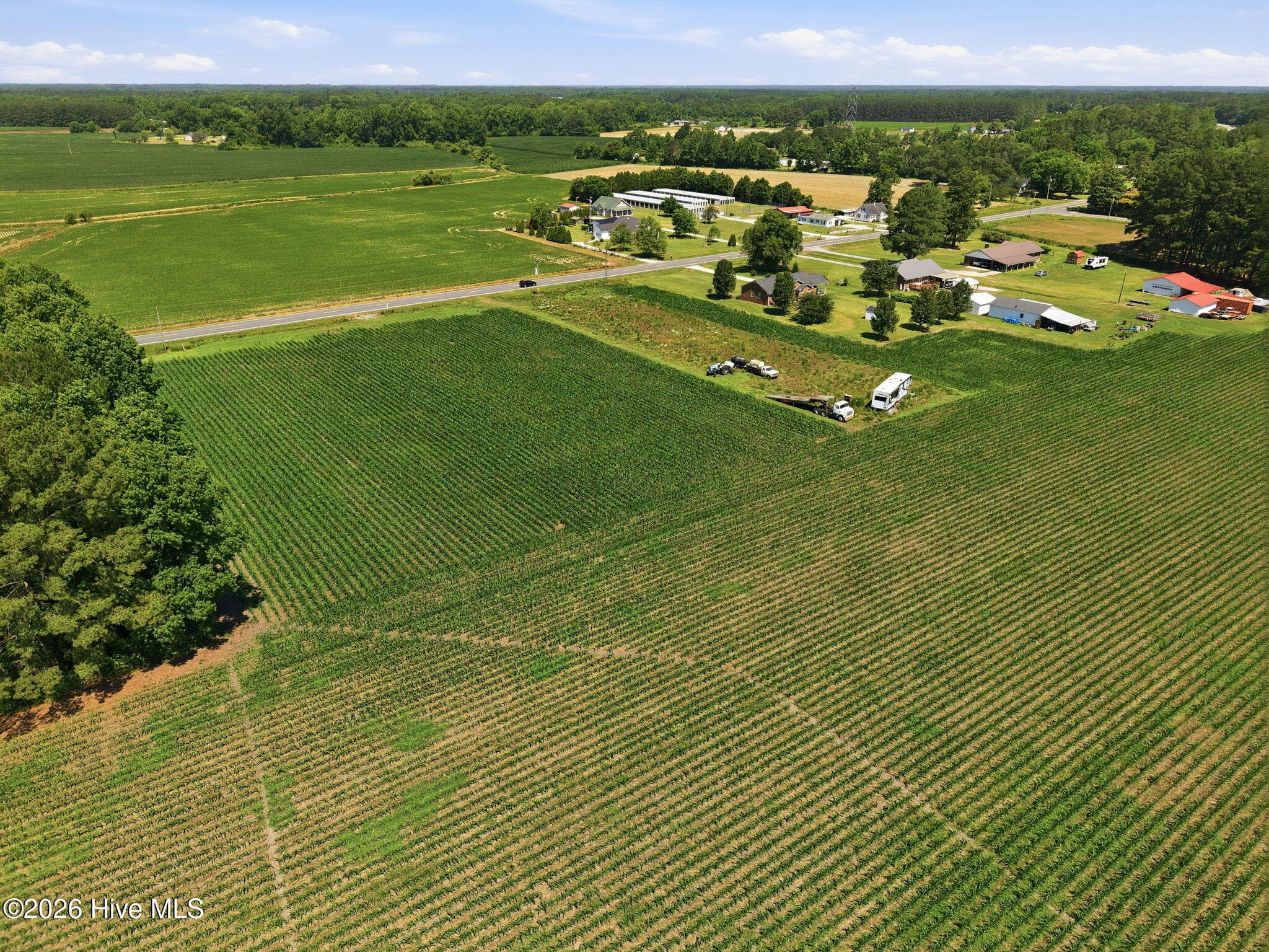 Agriculture at 1795 1825 Highway 58 S, Kinston, NC 28501, photo 15 of 17