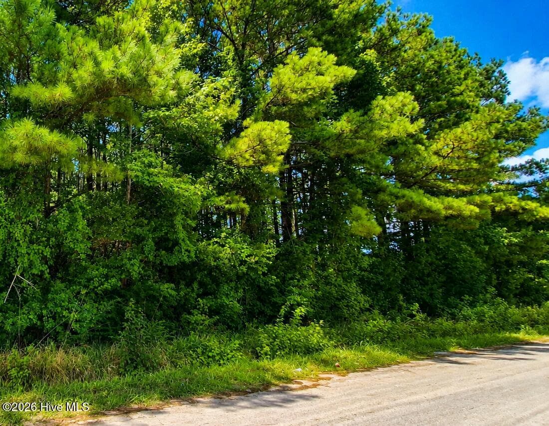 Undeveloped at 00 Bermuda Bay Lane, Tabor City, NC 28463, photo 11 of 12