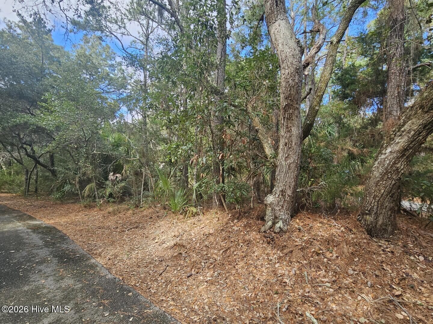Residential Land at 5 Musket Court, Bald Head Island, NC 28461, photo 2 of 4