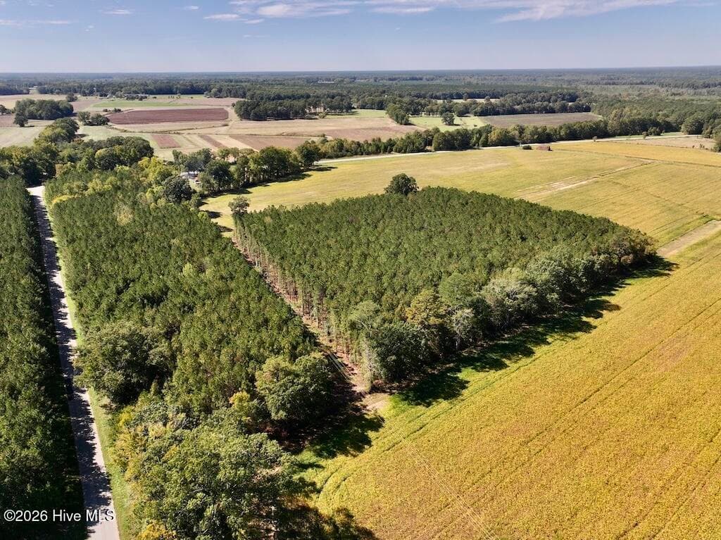 Mixed Use at 0 Spring Hill Road, Scotland Neck, NC 27874, photo 73 of 93