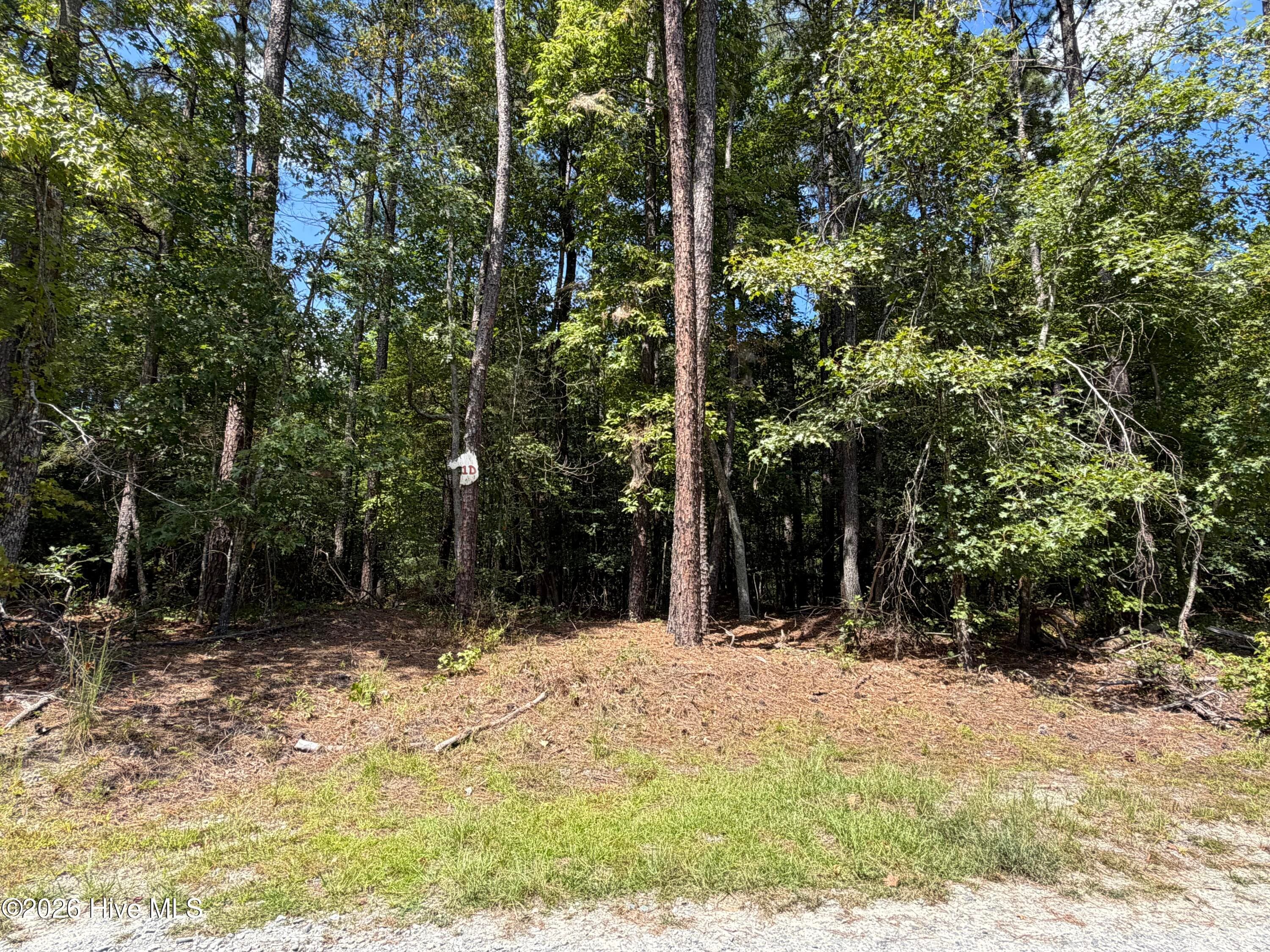 Residential Lot at 1d Gelding Gap Lane, Carthage, NC 28327, photo 5 of 5