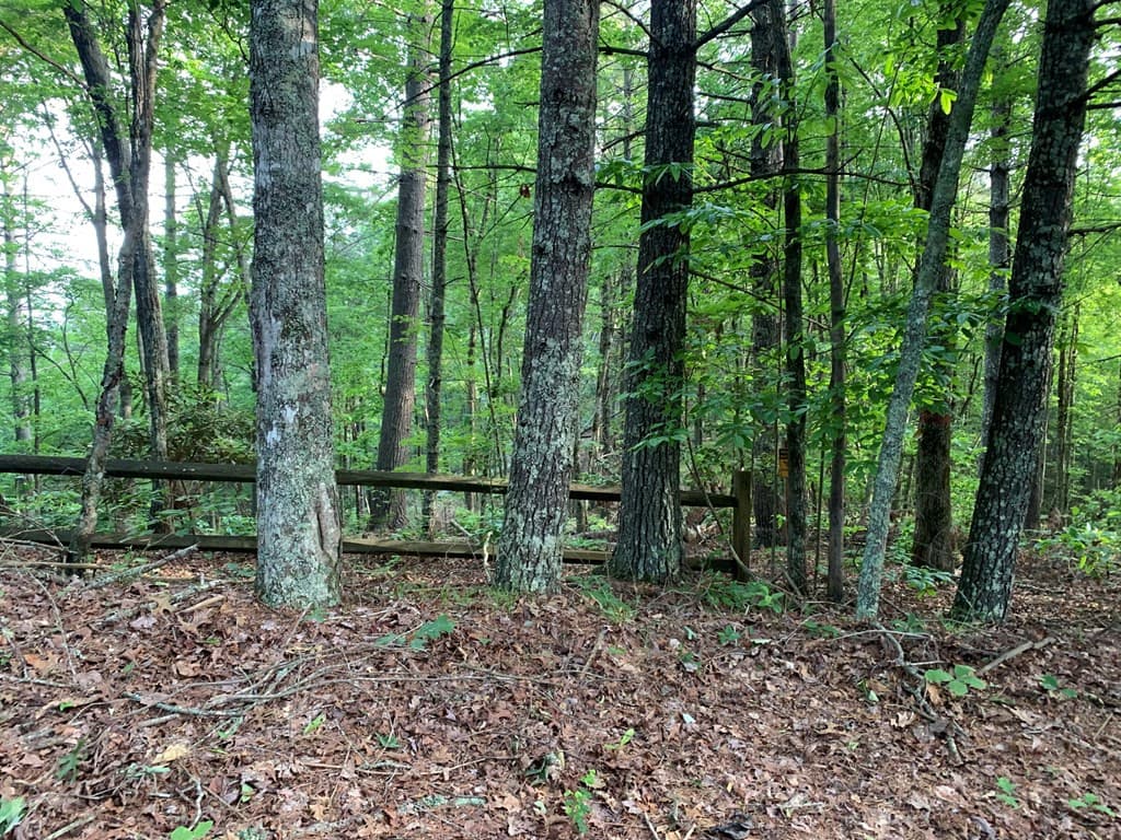 Land at Lot 43 Kestrel Ridge Circle, Murphy, NC 28906, photo 23 of 24