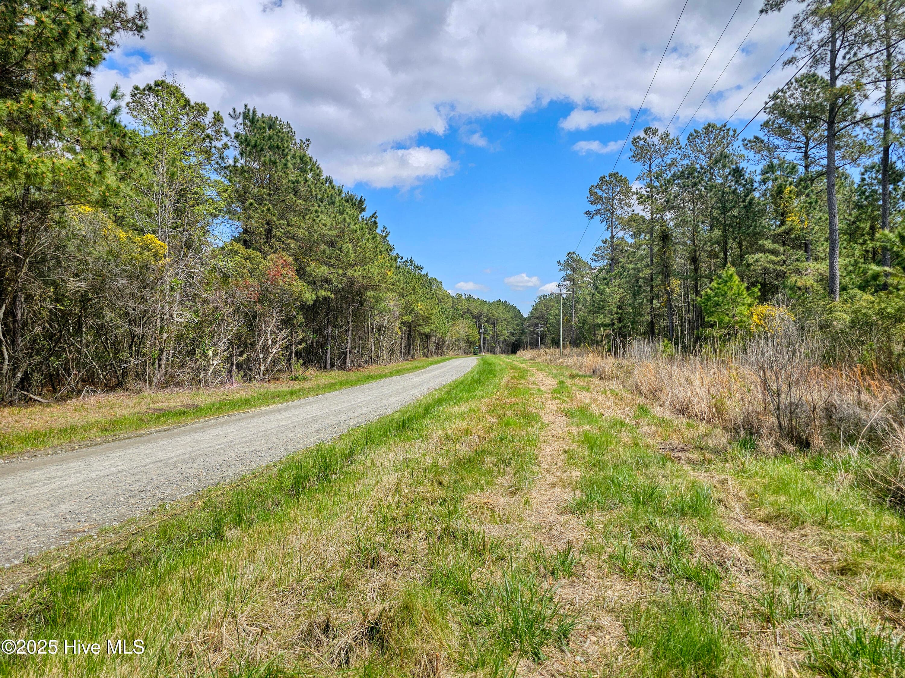 Residential Land at 20 20 Sandy Point Road, Scranton, NC 27875, photo 4 of 6