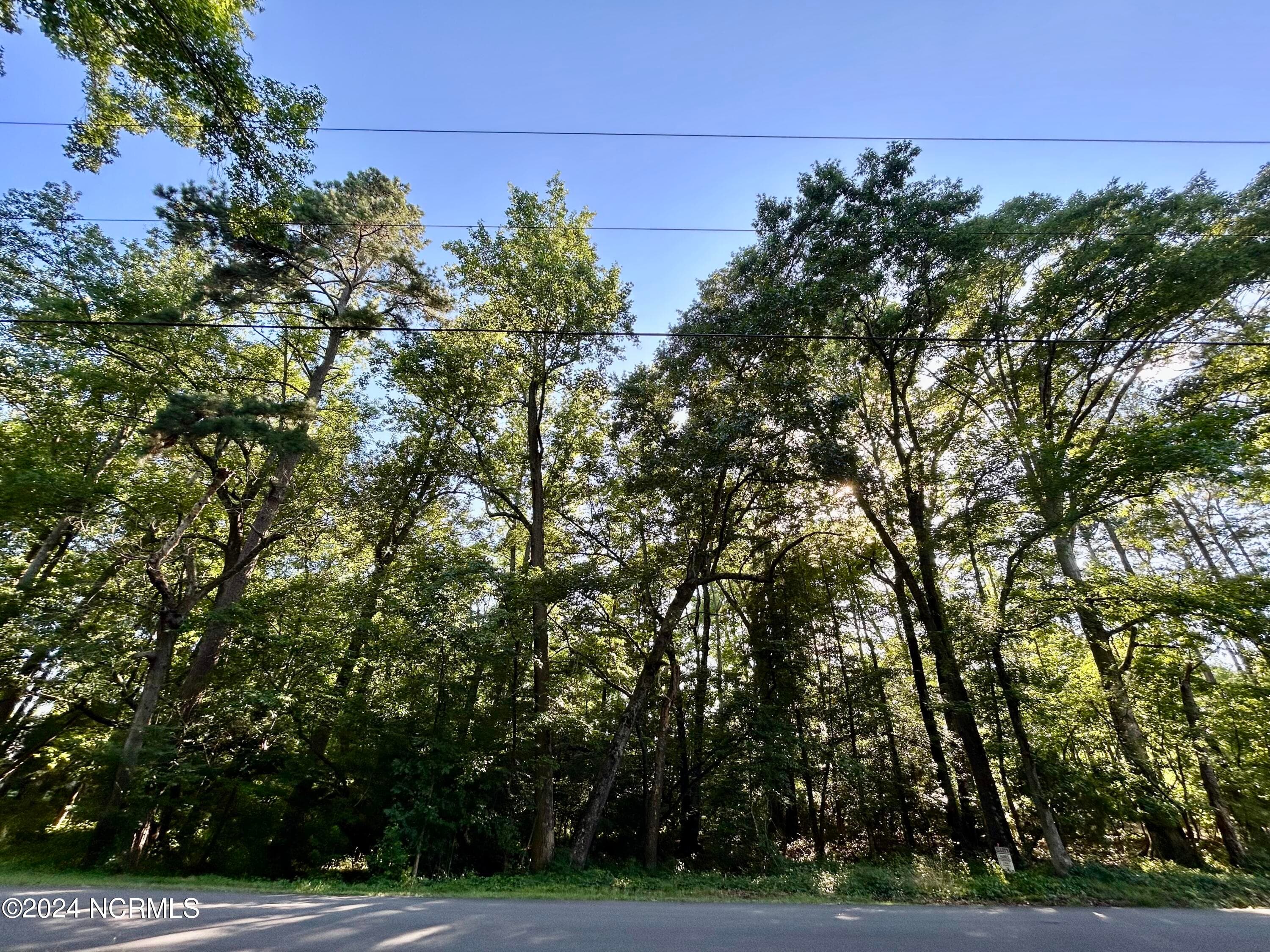 Residential Lot at 112 10 American Legion Road, Rockingham, NC 28379, photo 12 of 15
