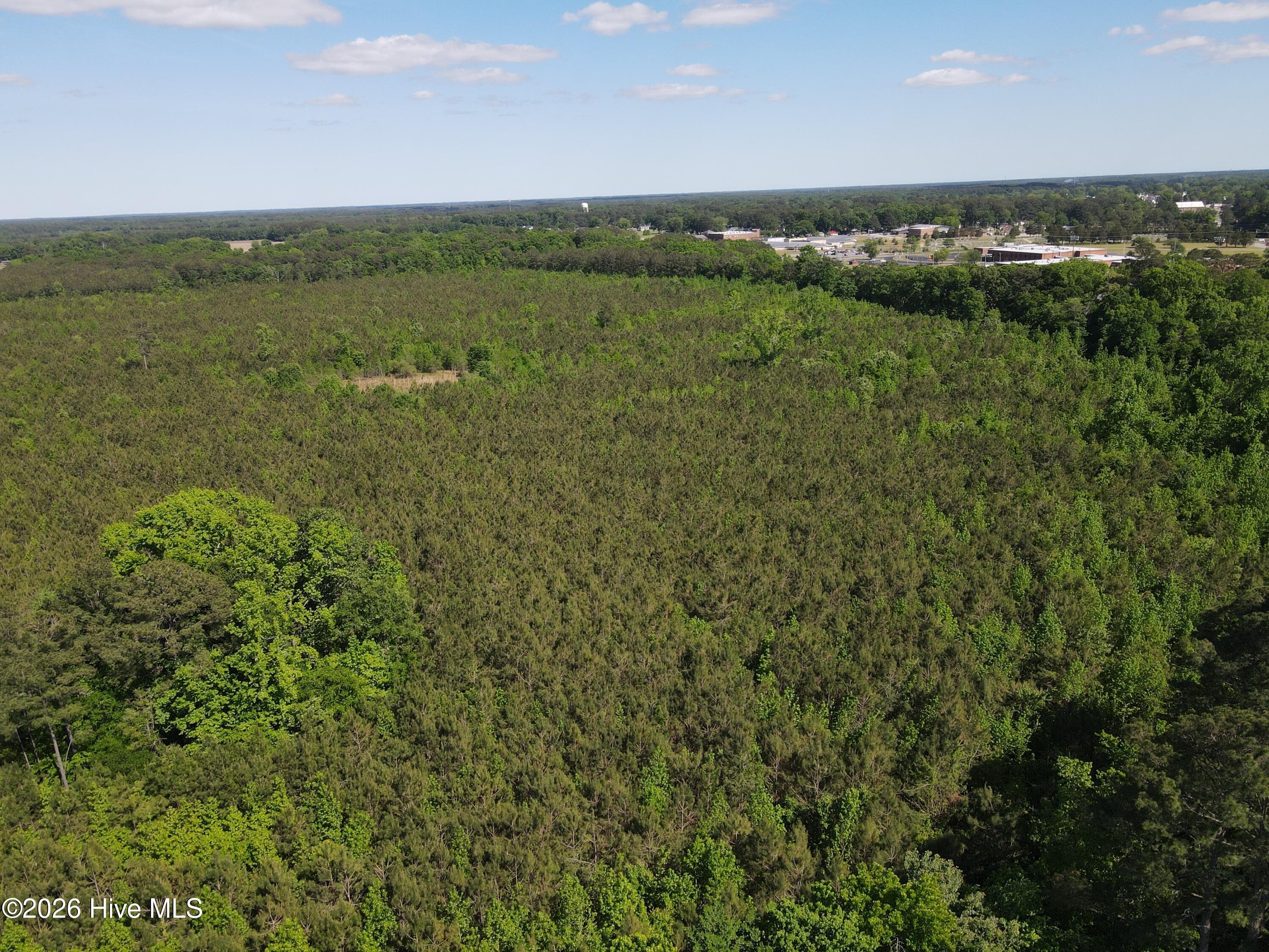 Undeveloped at 0 Colice Hall Lane, Ahoskie, NC 27910, photo 20 of 20