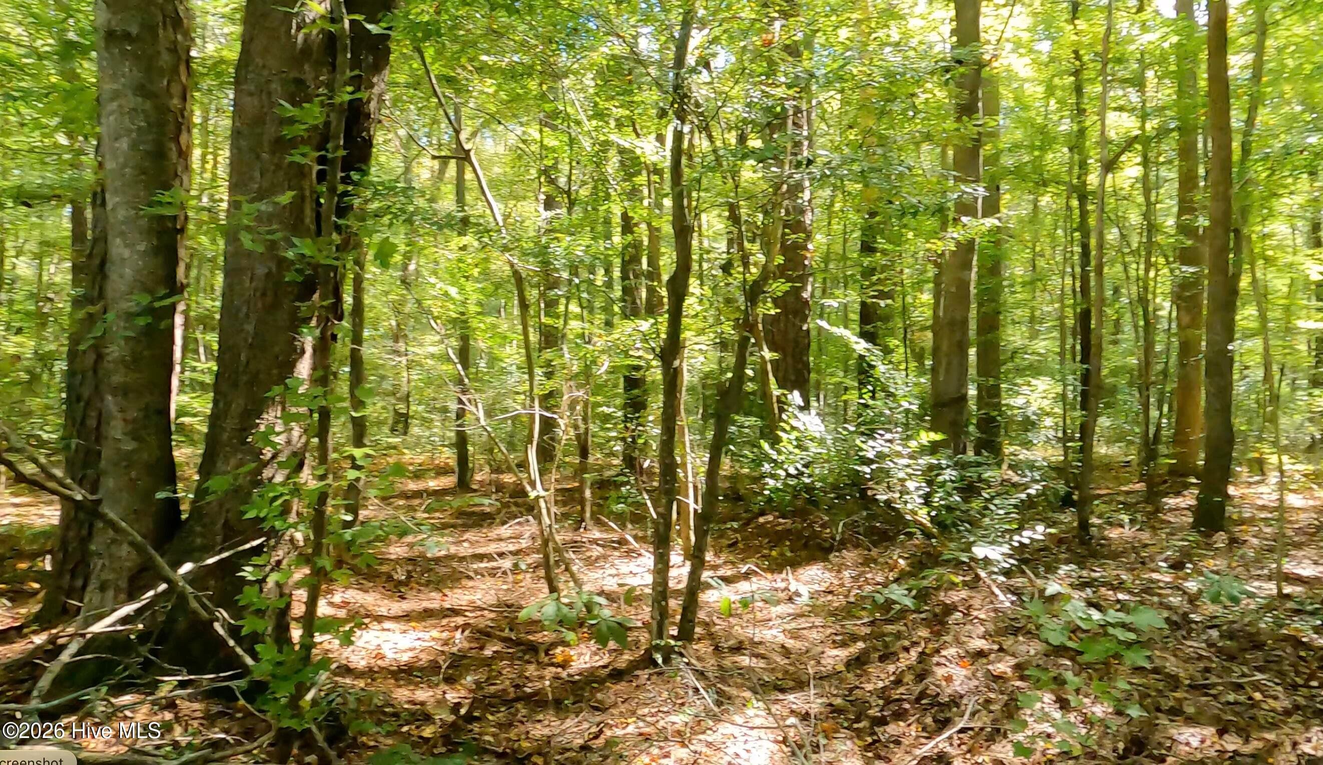 Undeveloped at 0.35 Ac Johnson Lane, Moyock, NC 27958, photo 10 of 10
