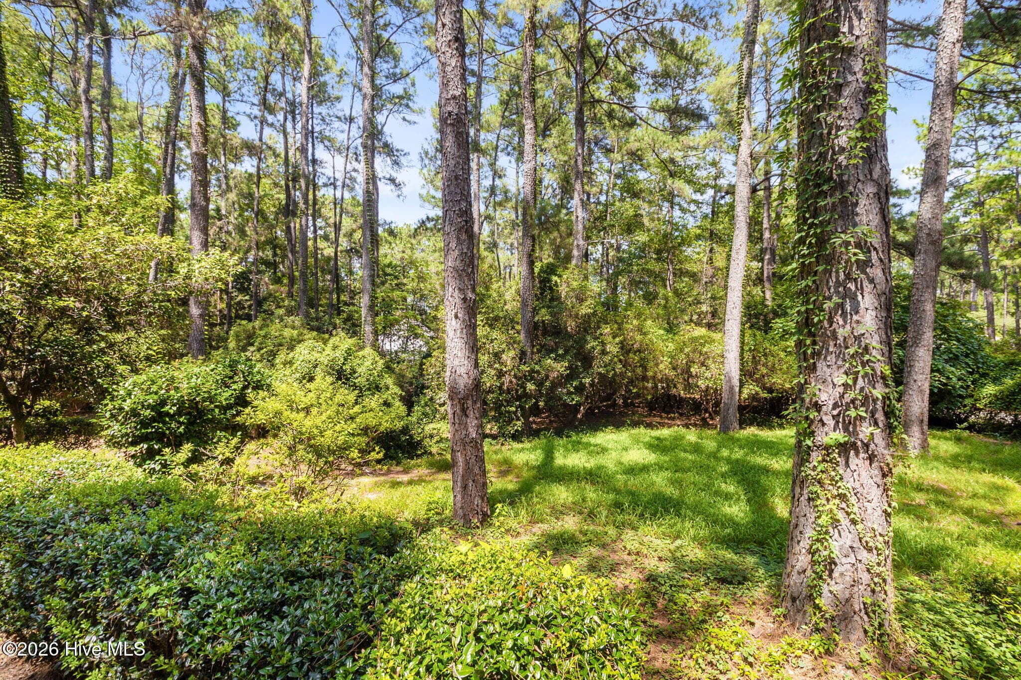 Excellent buffer - 102 James Creek Road, Southern Pines, NC 28387