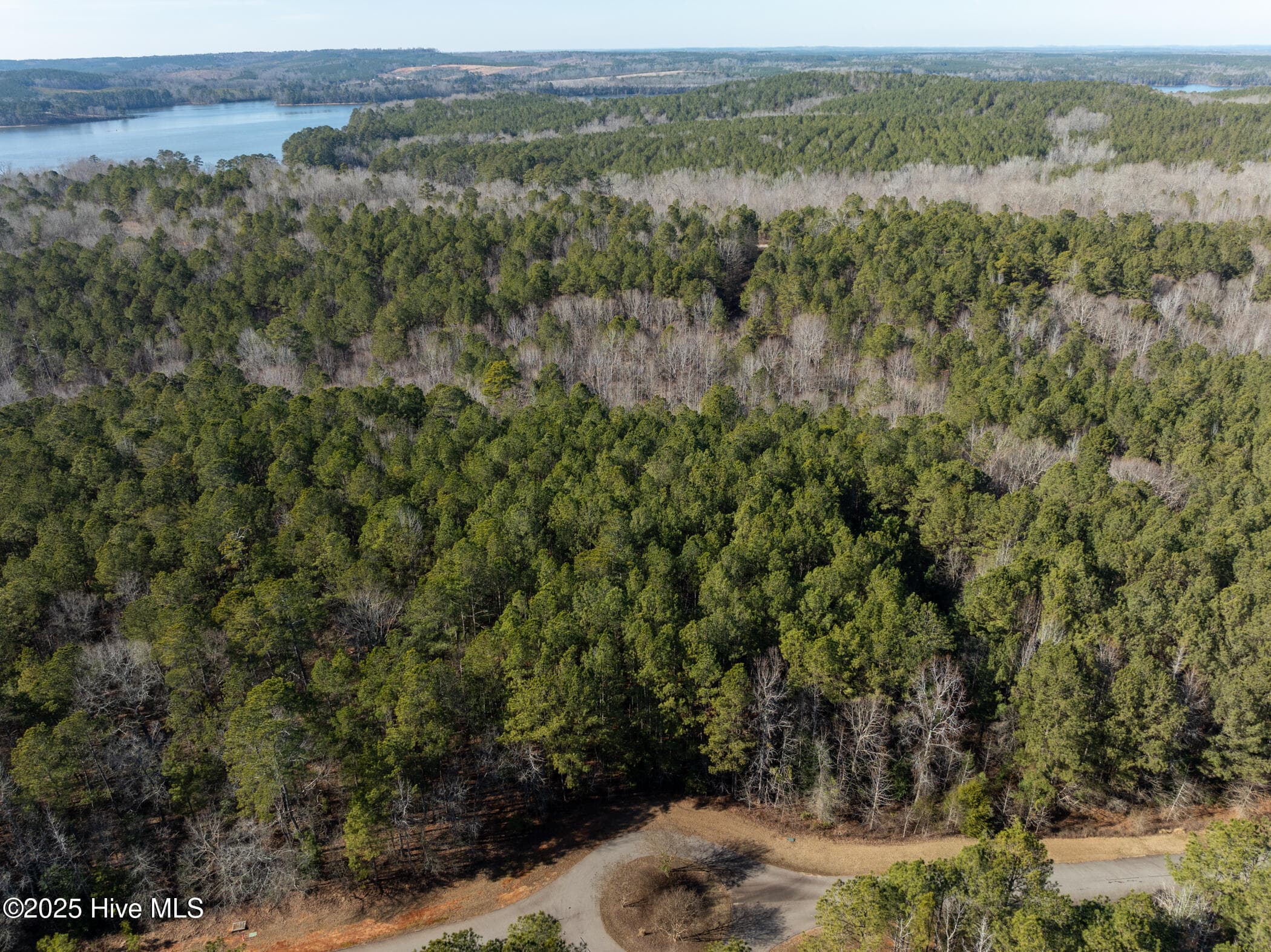 Residential Lot at 141 N State Lane, Rockingham, NC 28379, photo 4 of 17