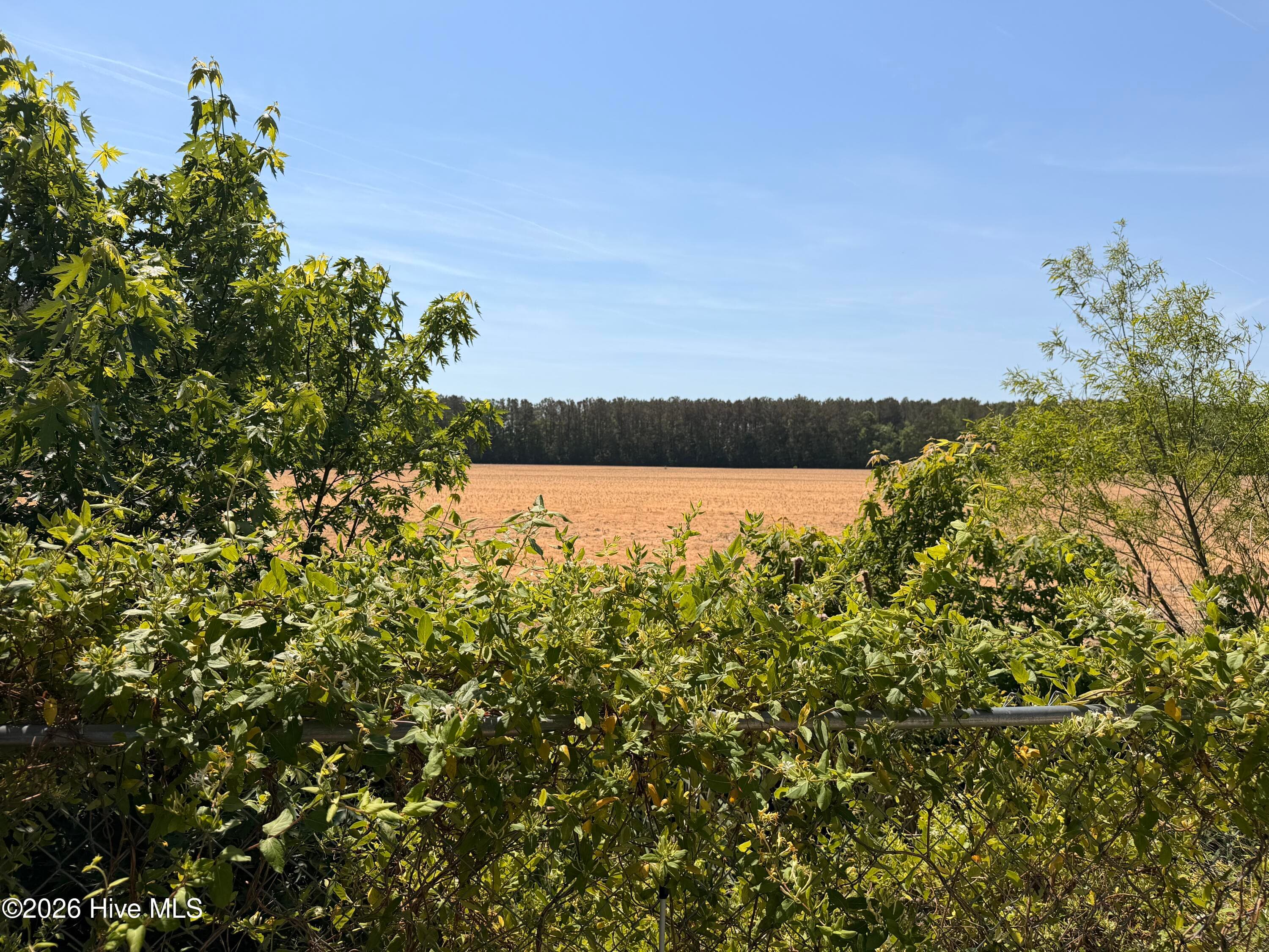 field view from back yard - 236 Brinkleyville Road, Ahoskie, NC 27910