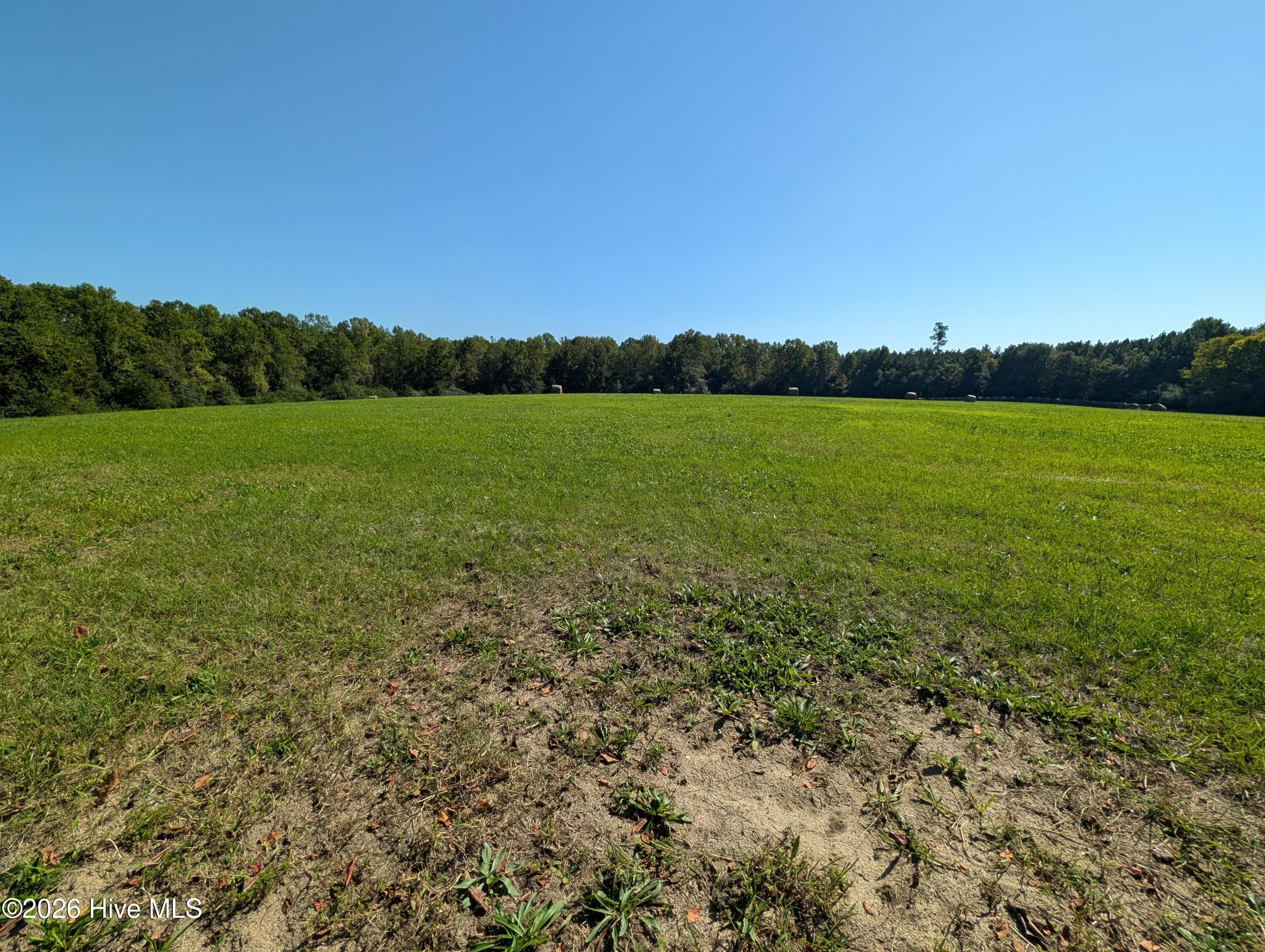 Undeveloped at Tbd County Line Road, Ellerbe, NC 28338, photo 5 of 7