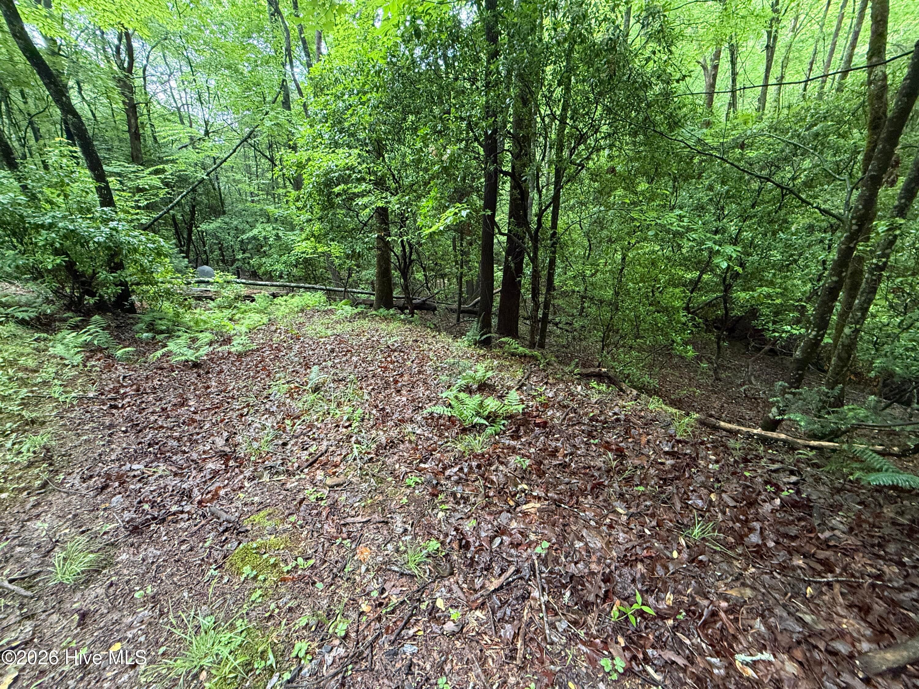 Residential Lot at Lot 28 Atoah Loop, Murphy, NC 28906, photo 11 of 15