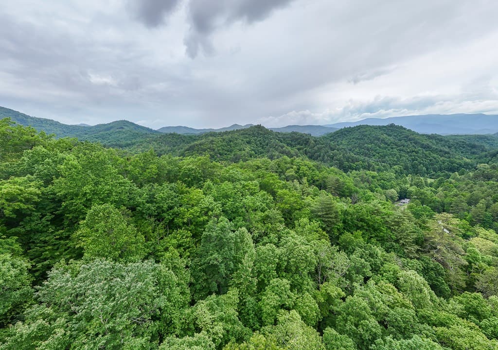 Land at 399 Shell Stand Road, Almond, NC 28702, photo 7 of 21