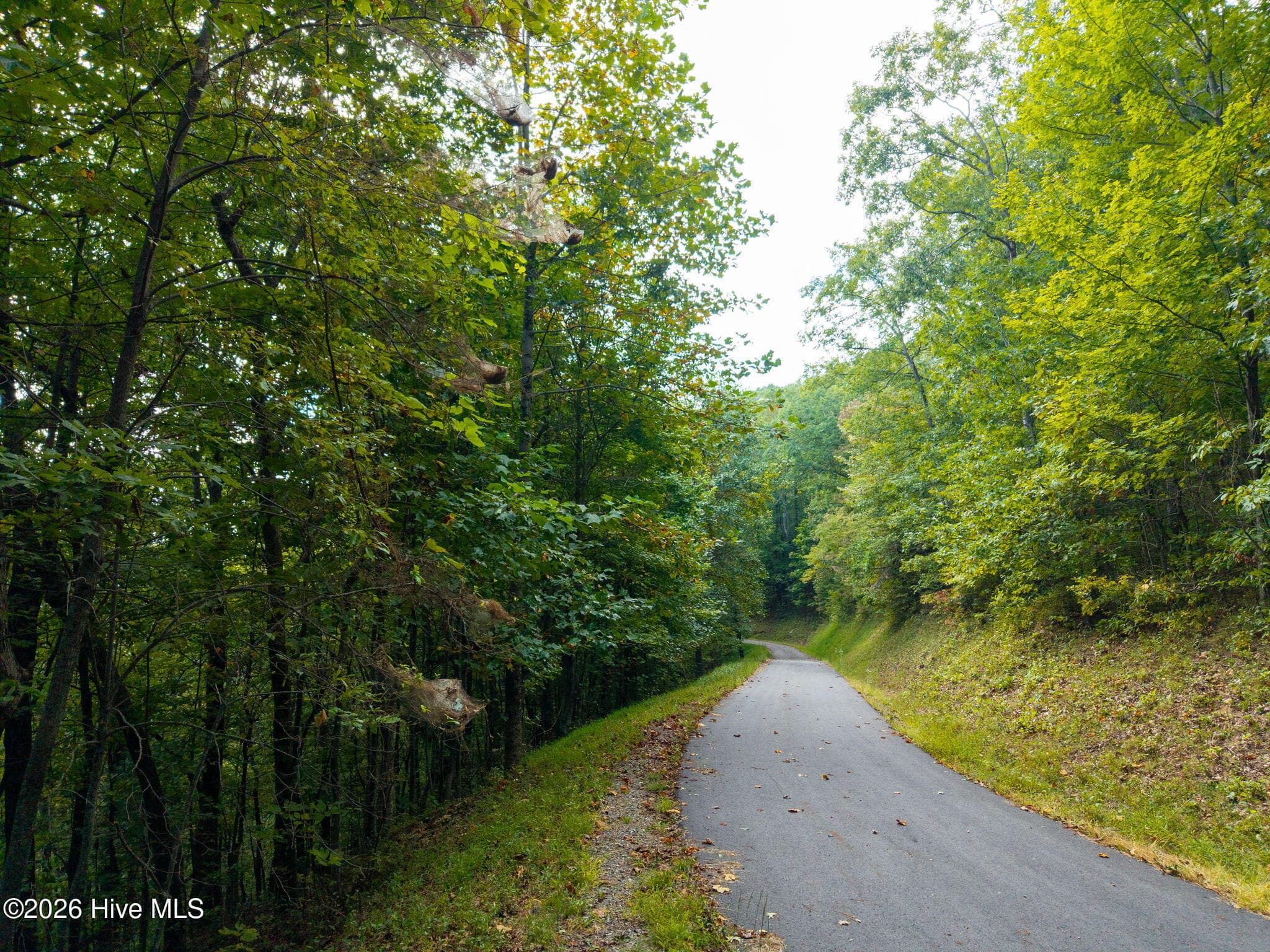 Residential Lot at Lot 2.07 Outlook Road, Murphy, NC 28906, photo 6 of 32