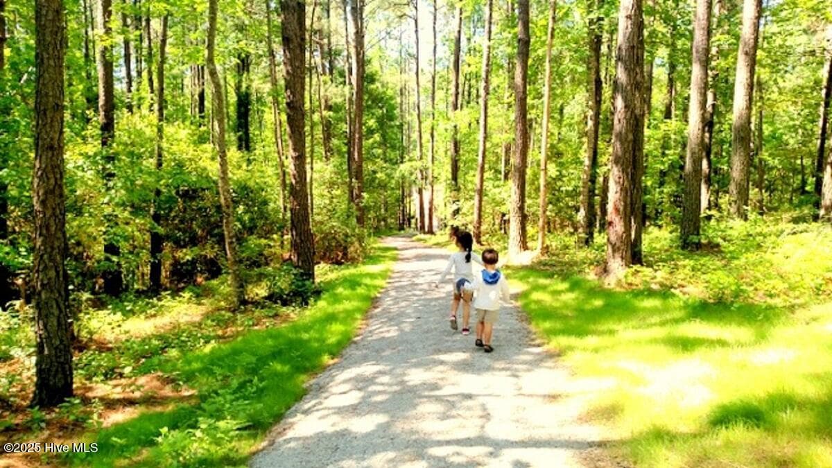 Residential Lot at 75 241 Golden Fern Lane, Minnesott Beach, NC 28510, photo 15 of 31