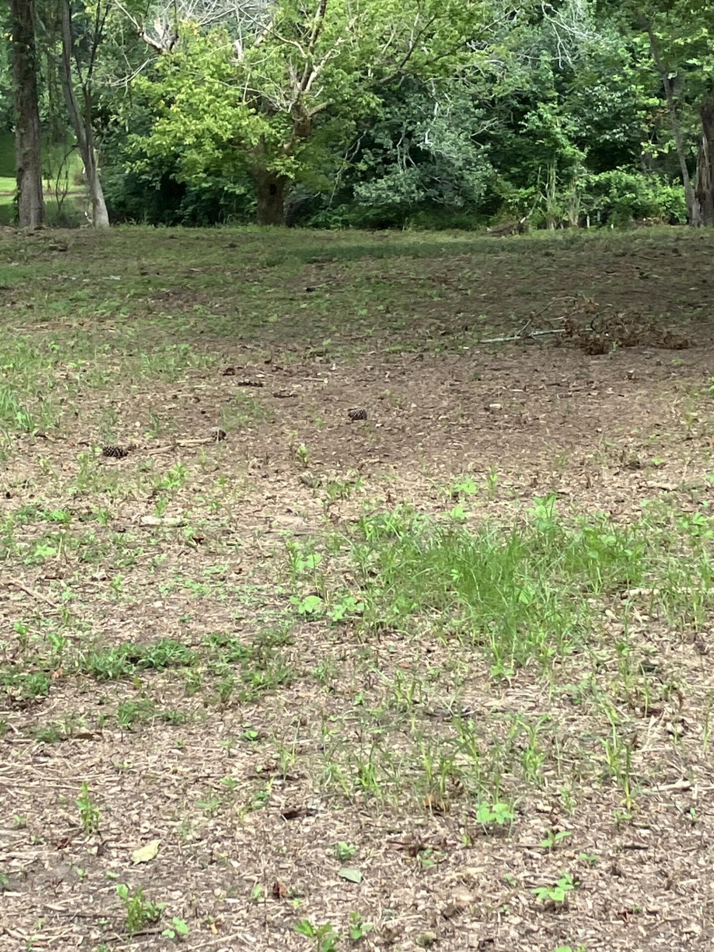 Residential Lot at 165 River Bend Drive, Clarks Hill, SC 29821, photo 10 of 12