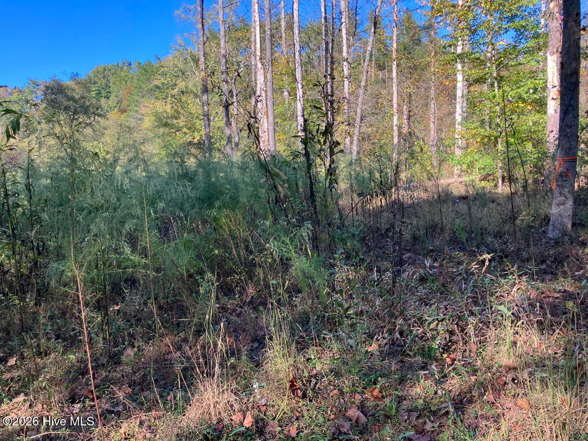 Residential Lot at 6 6 Rushing Water Trail, Hayesville, NC 28904, Hayesville, photo 10 of 14