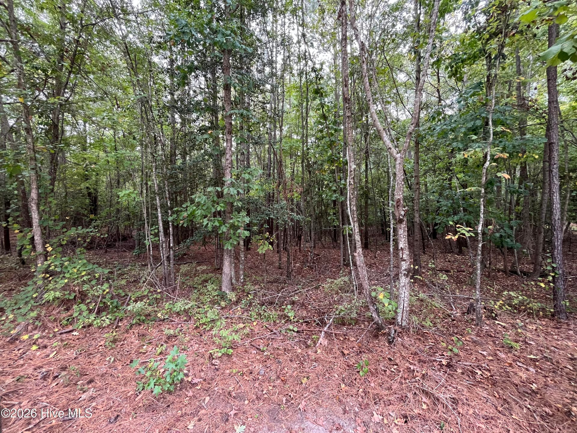 Residential Lot at 410 5 Bingham Street, Carthage, NC 28327, photo 3 of 10
