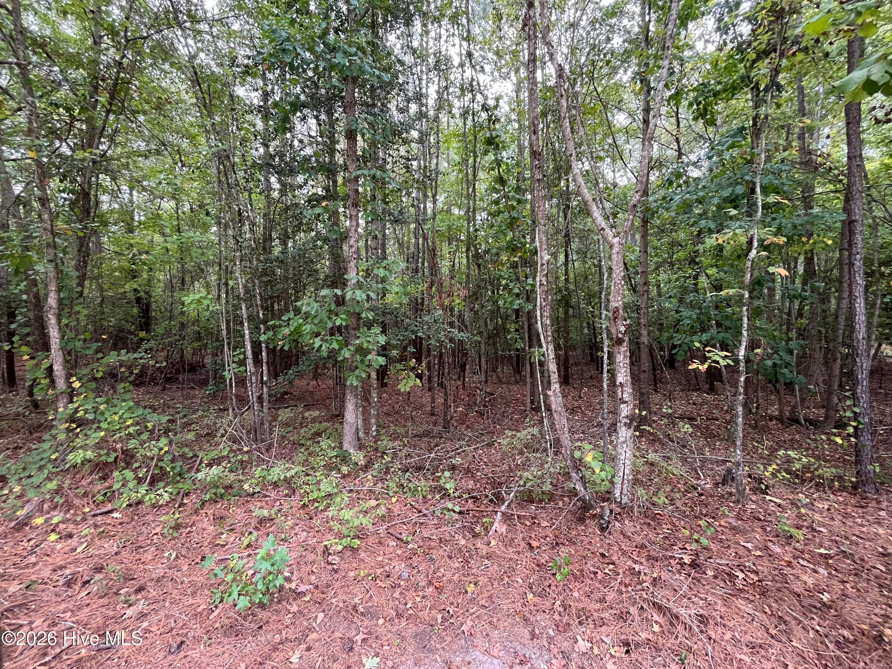 Residential Lot at 410 5 Bingham Street, Carthage, NC 28327, photo 3 of 10