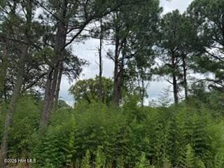 Undeveloped at 1298 3 Moores Chapel Road, Lillington, NC 27546, photo 3 of 5