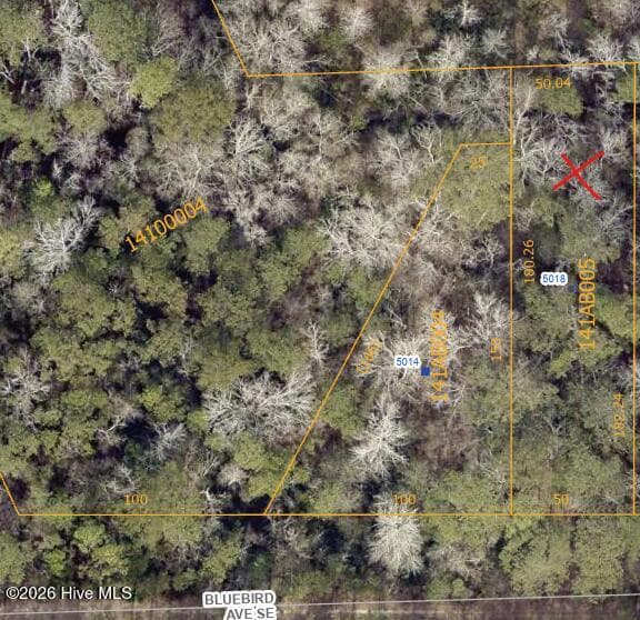 Undeveloped at 5018 Bluebird Lane SE, Boiling Spring Lakes, NC 28461, photo 2 of 2