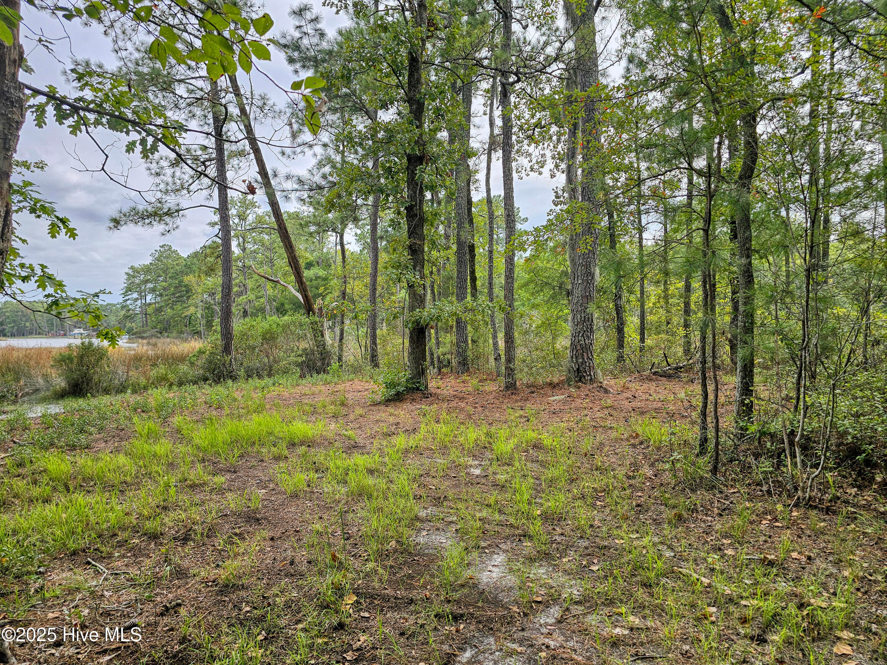 Residential Lot at Lot 77 77 Mcgowan Road, Bath, NC 27808, photo 10 of 16