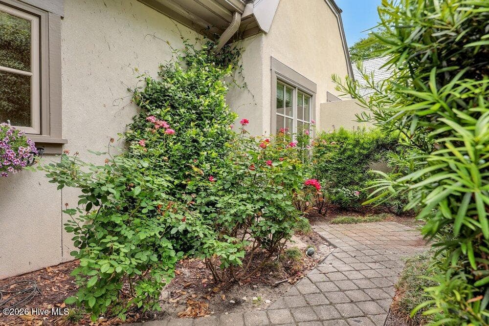 Front courtyard - 1609 Dijon Drive, Wilmington, NC 28405