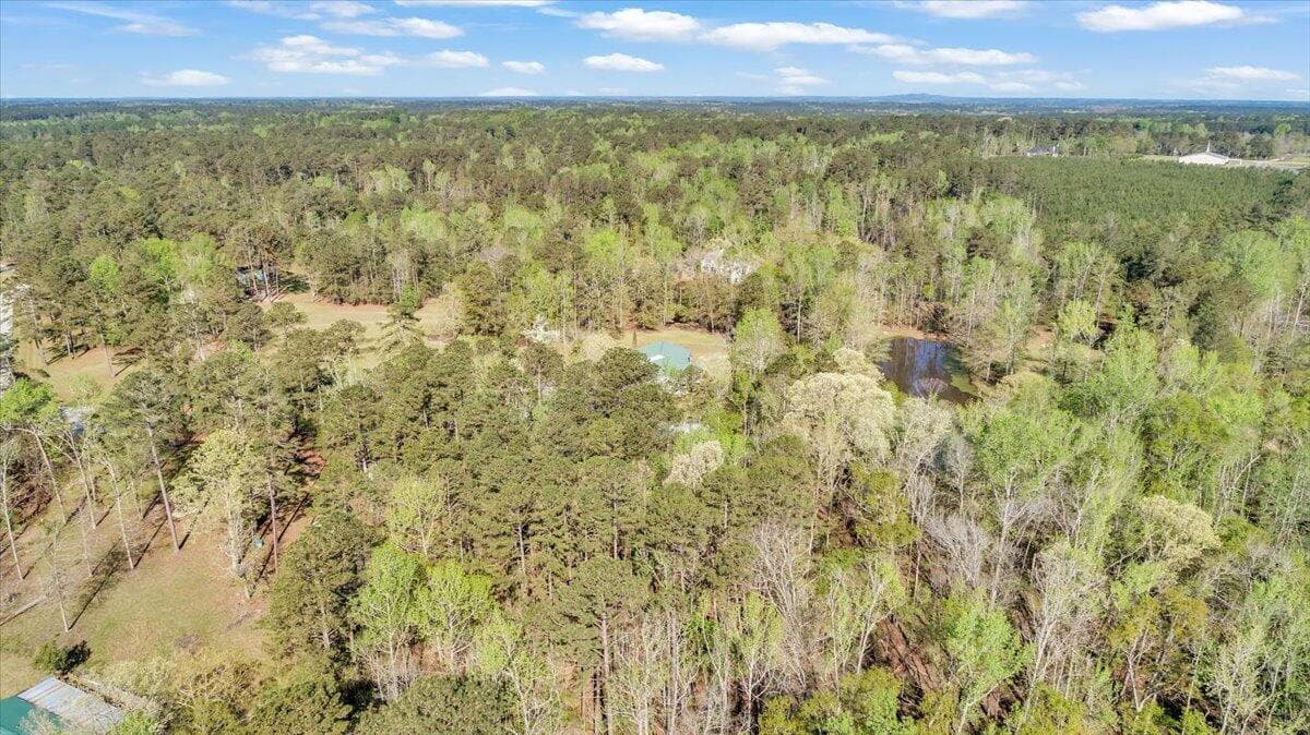 Single Family Residence at 7025 Rance Perry Road, Appling, GA 30802, photo 31 of 69