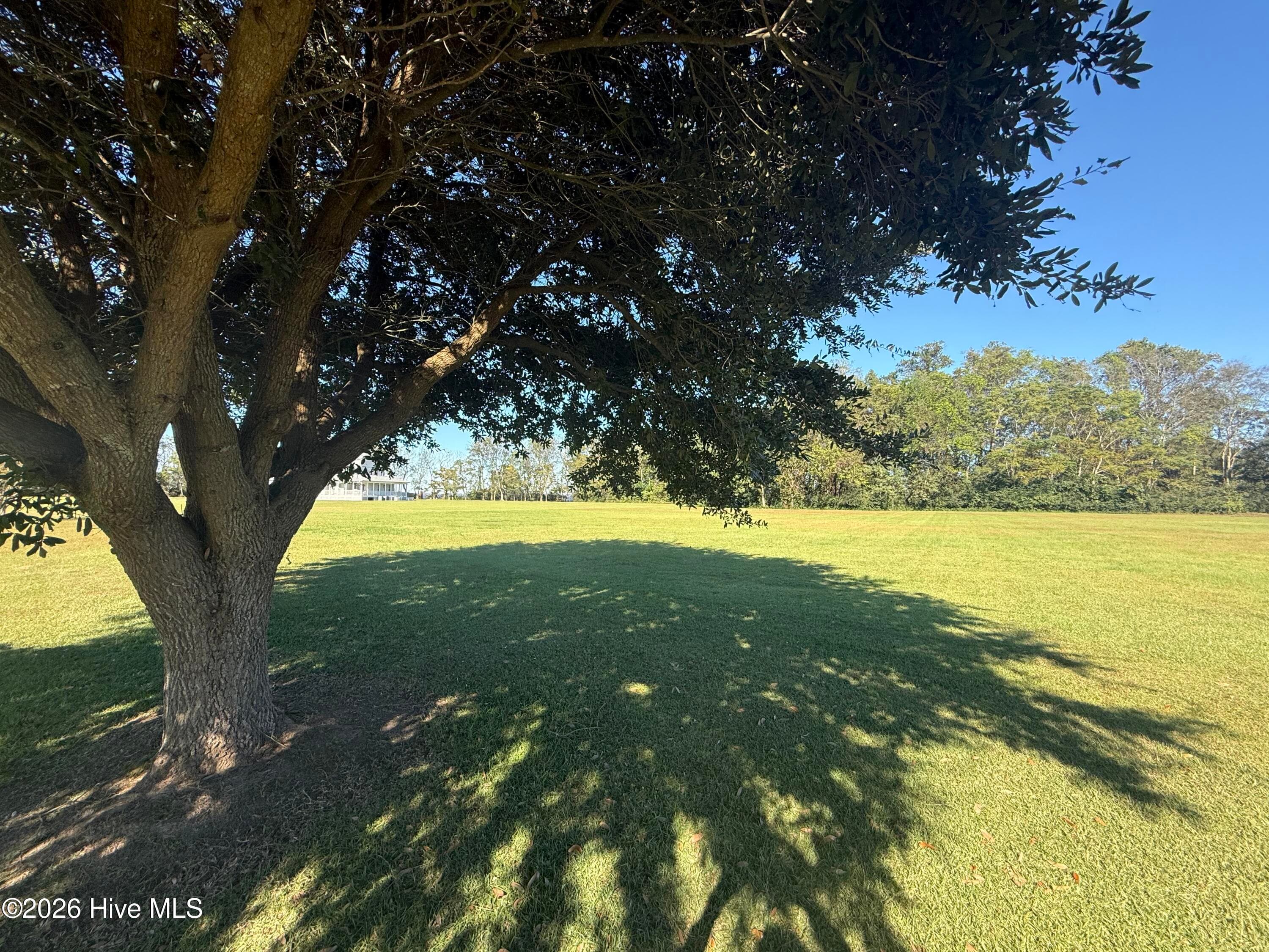 A mature Live Oak welcomes you. - 114 27 and 28 Gov Eden House Road, Merry Hill, NC 27957