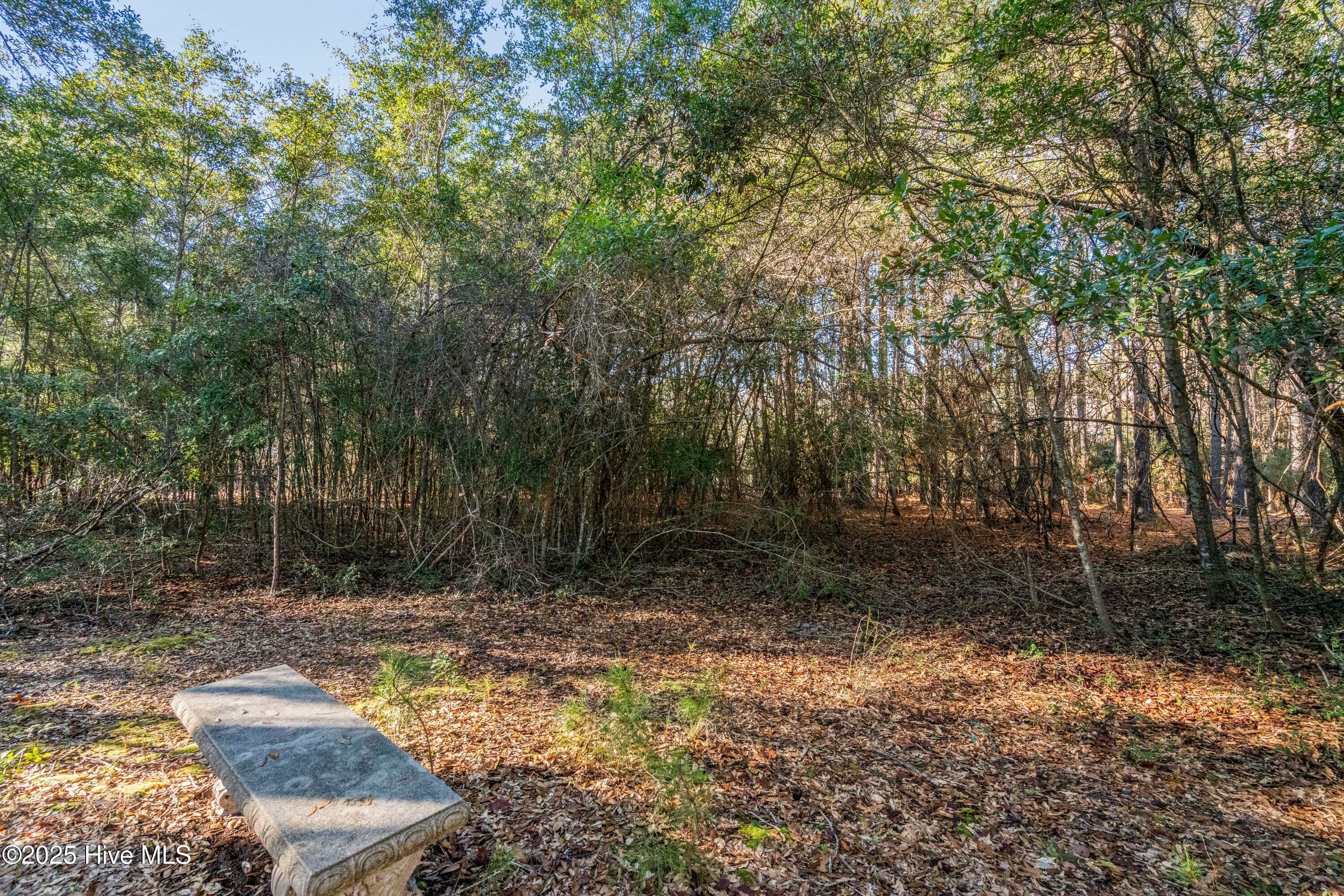 Residential Lot at 1984 293R Redfish Run SW, Supply, NC 28462, photo 13 of 34