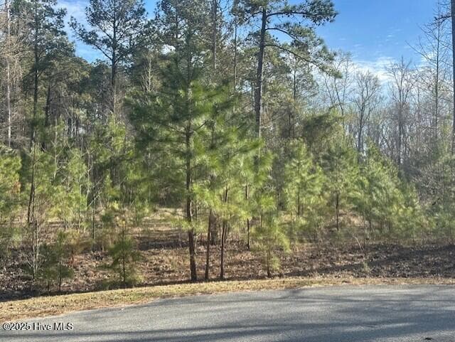 Residential Lot at 607 Pamlico River Drive, Washington, NC 27889, photo 6 of 20