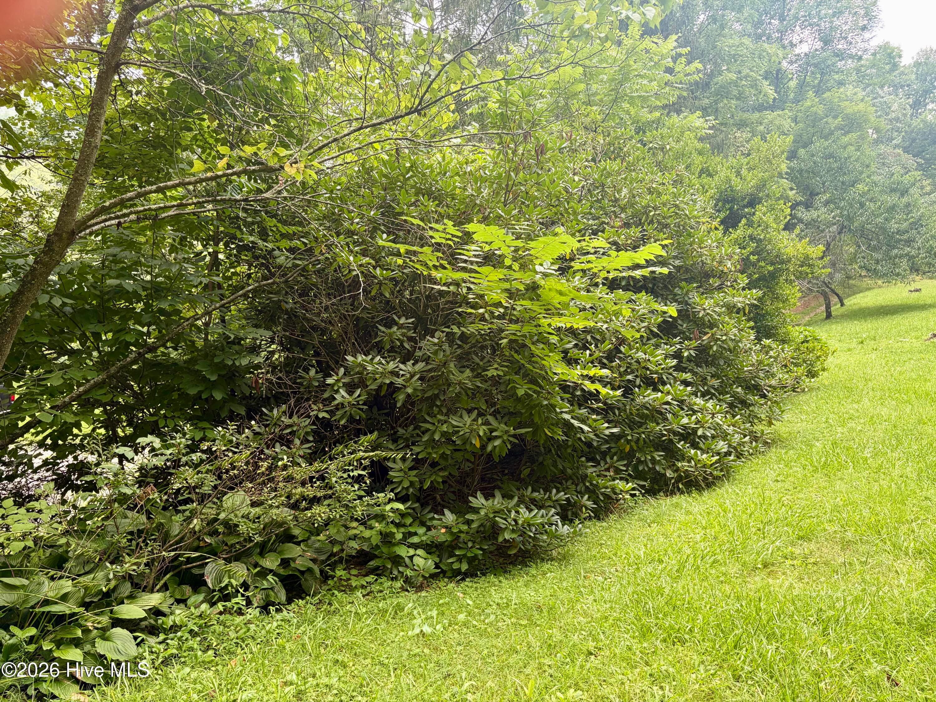 Single Family Residence at 913 Franks Creek Road, Robbinsville, NC 28771, photo 31 of 38