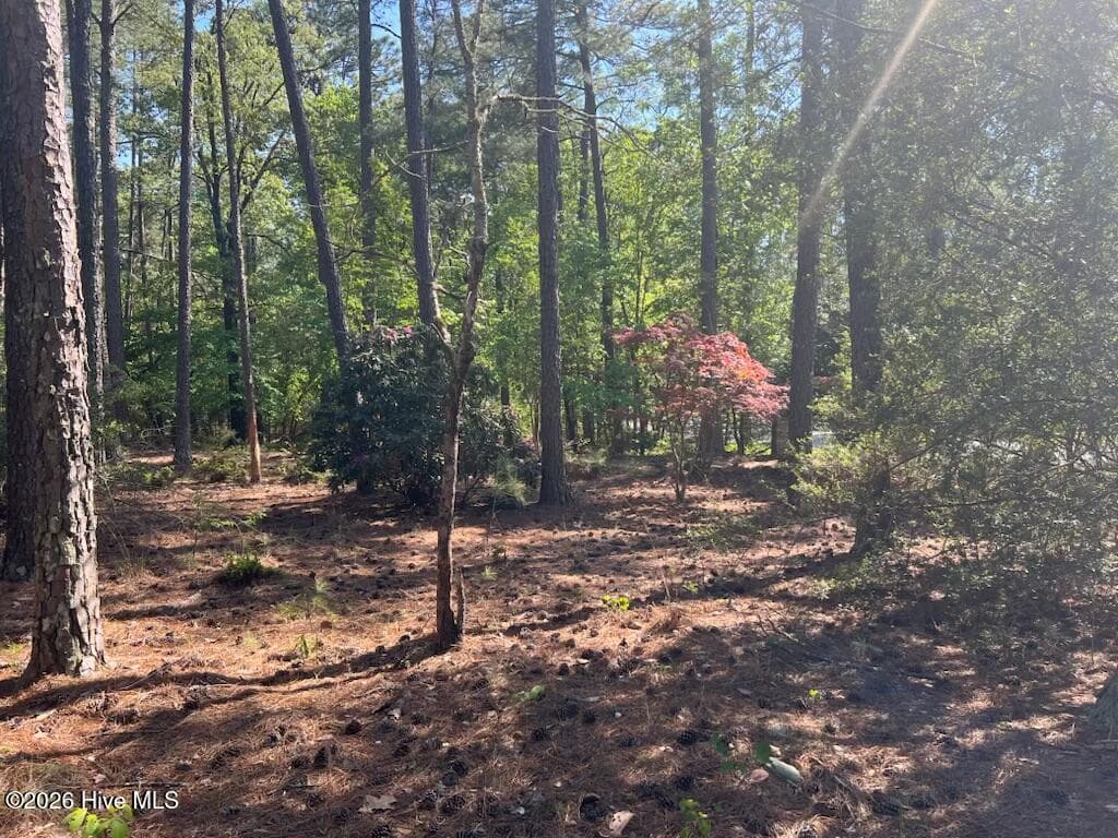 Single Family Residence at 1551 Linden Road, Aberdeen, NC 28315, photo 3 of 4