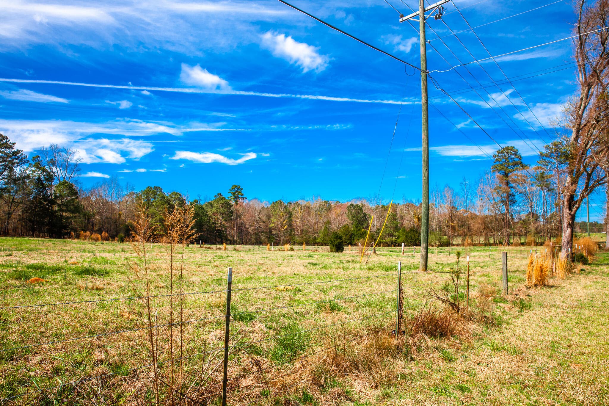 Undeveloped at 3500 5 Mistletoe Road, Appling, GA 30802, photo 2 of 5