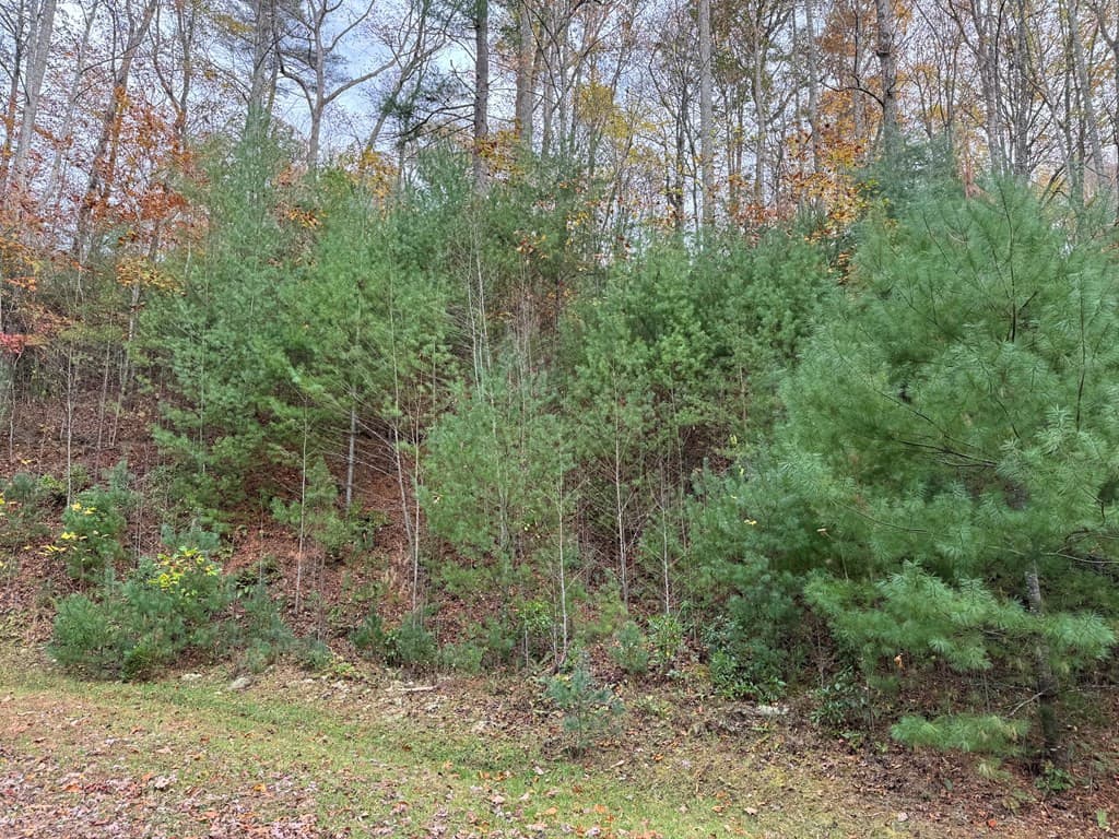 Residential Lot at 00 92 Heritage Trail, Murphy, NC 28906, photo 3 of 8