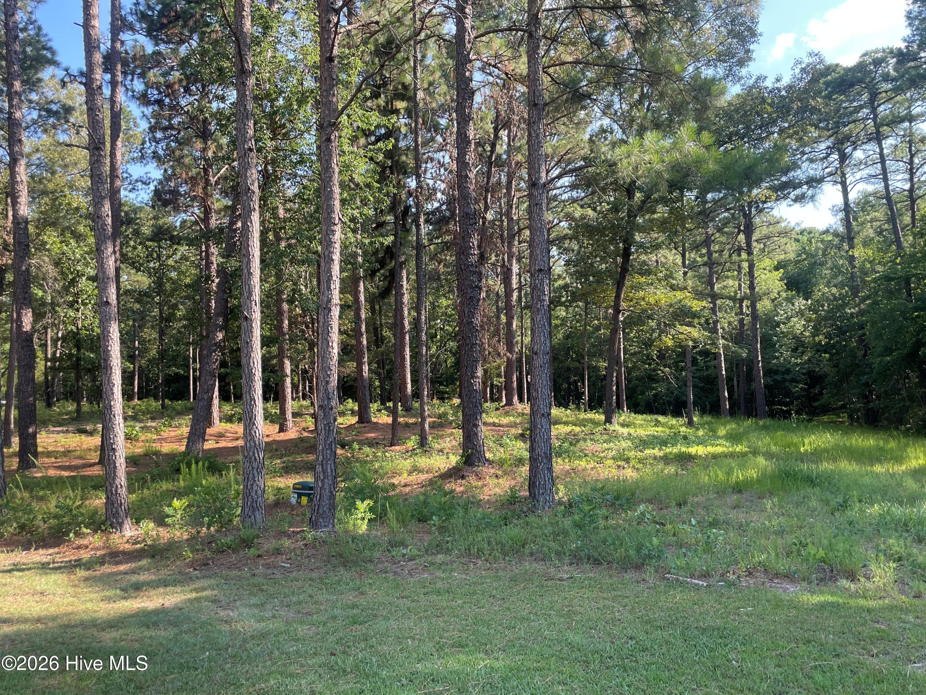Residential Lot at 231 911R Meyer Farm Drive, Pinehurst, NC 28374, photo 3 of 13