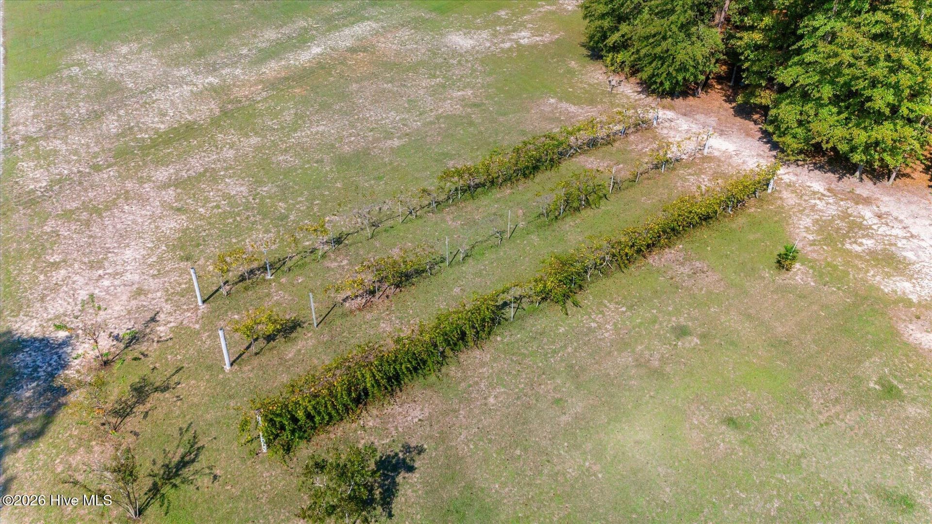 Single Family Residence at 182 Boyd Pond Road, Beech Island, SC 29842, photo 55 of 73