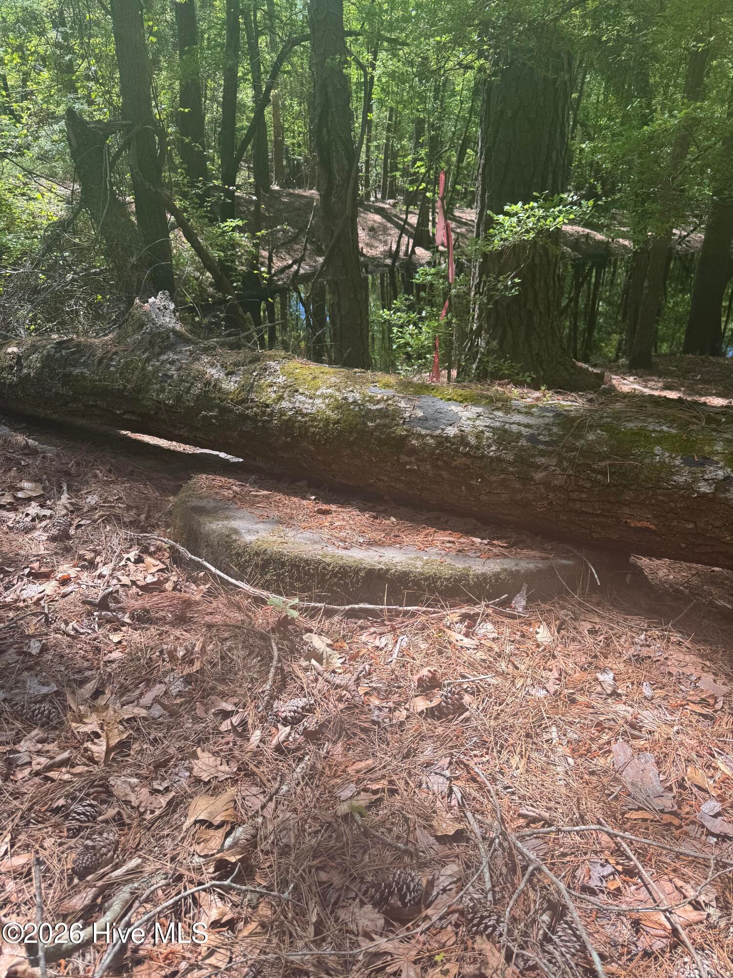 Get a survey, it may come with the property... - 5, 6, 7 53 Off Highway, Atkinson, NC 28421
