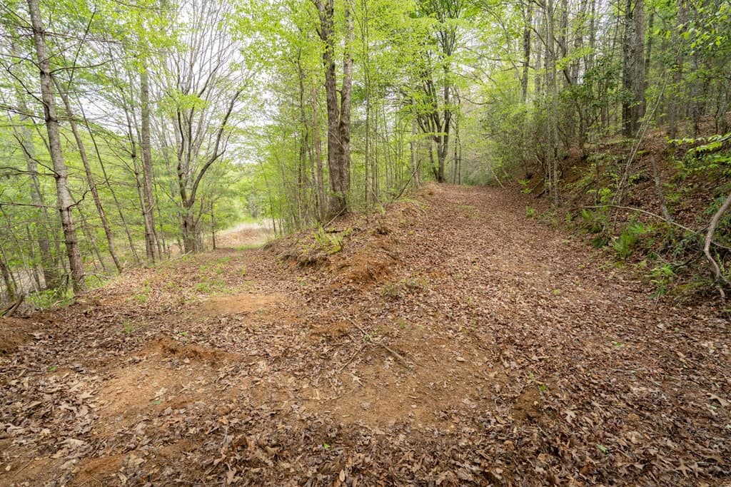 Wooded at 125 Milk And Honey Drive, Murphy, NC 28902, photo 10 of 23