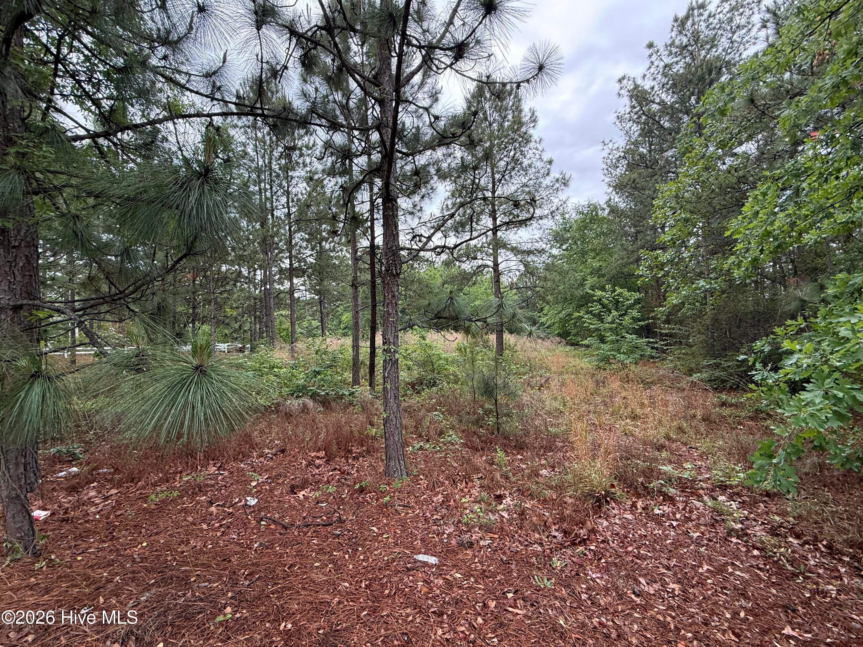 280 Murray Hill Road, Southern Pines, NC 28387