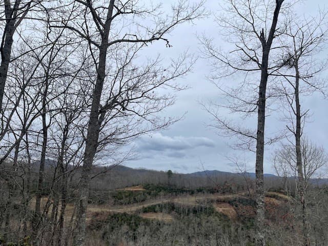 Wooded at 41 41 Mystic Ridge Way W, Topton, NC 28781, photo 5 of 7