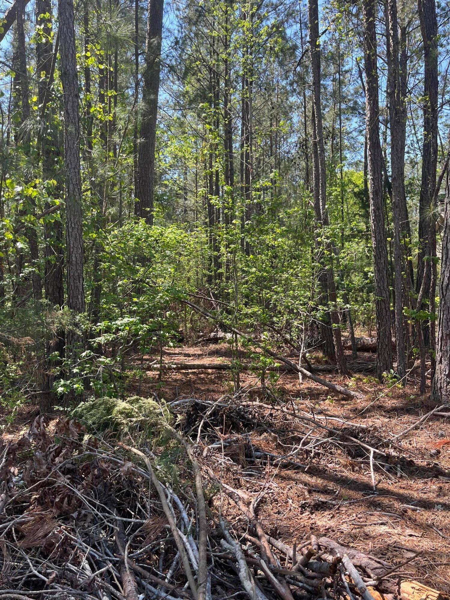 Undeveloped at L14 B39 Antioch Drive, McCormick, SC 29835, photo 5 of 8