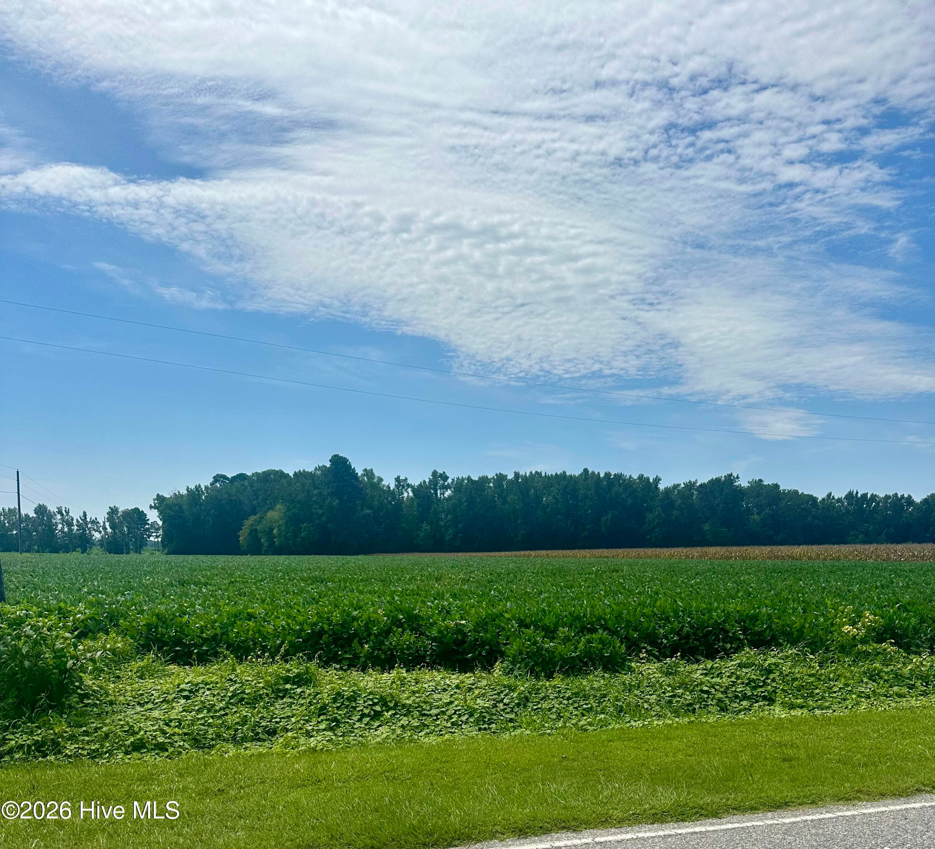 Mixed Use at 2645 Braswell Road, Chadbourn, NC 28431, photo 2 of 10