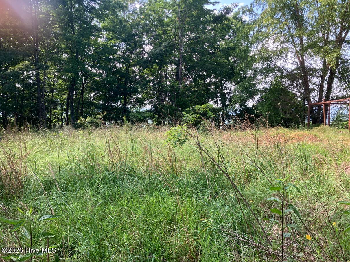 Lot 51 51 Buck Ridge Drive, Murphy, NC 28906