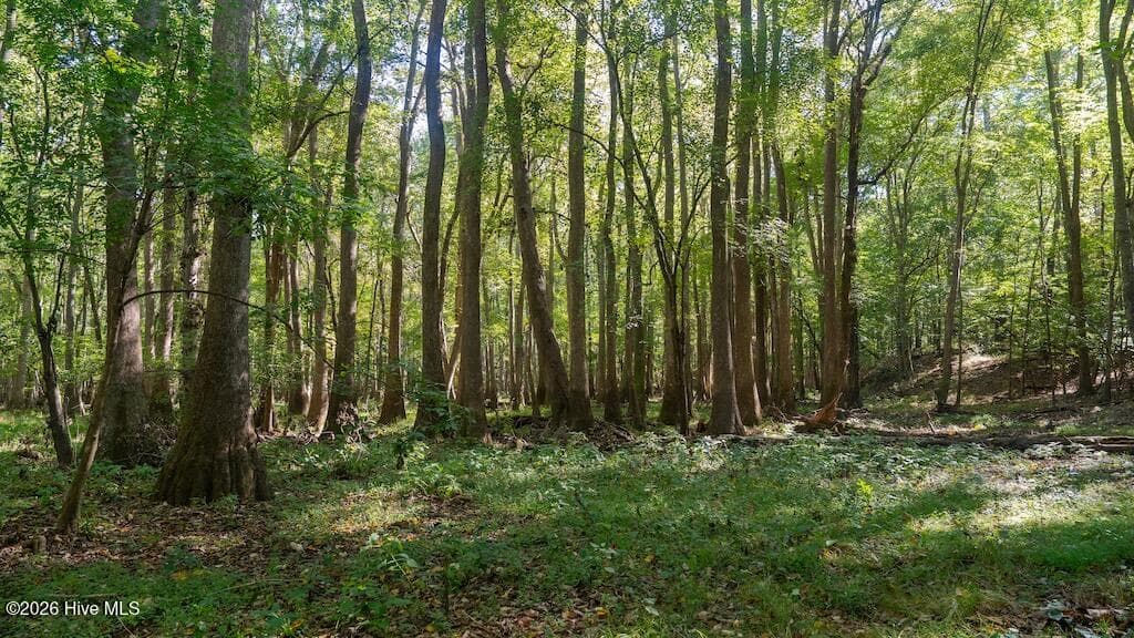 0 Spring Hill Road, Scotland Neck, NC 27874