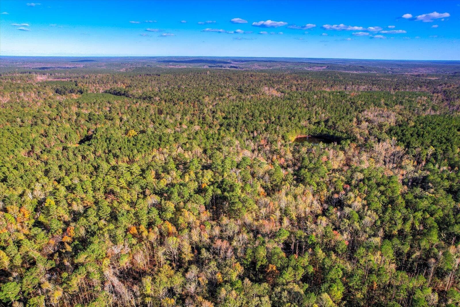 Undeveloped at Tbd2 Sc-23, Edgefield, SC 29824, photo 24 of 41